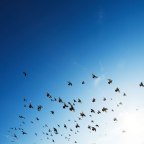 Changing together: Kaiser-union partnership gets results